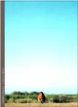 Les oies sauvages riaient et Dieu s'endormit tôt - Jean-Luc Mylayne