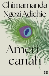Americanah - Chimamanda Ngozi Adichie