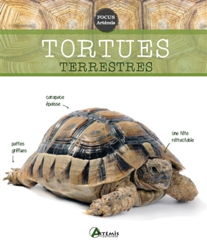 Les tortues terrestres - Gerti Keller
