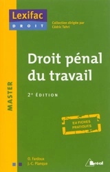 Droit pénal du travail - Jean-Claude Planque