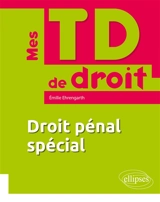 Droit pénal spécial - Emilie Ehrengarth