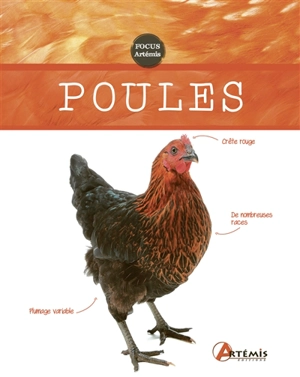 Poules - Nathalie Semenuik