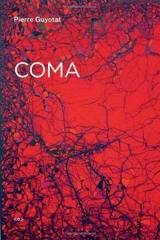 Pierre Guyotat Coma - Pierre Guyotat