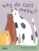 Why do cats meow ? : Curious Questions about Your Favourite Pet - Lily Snowden-Fine