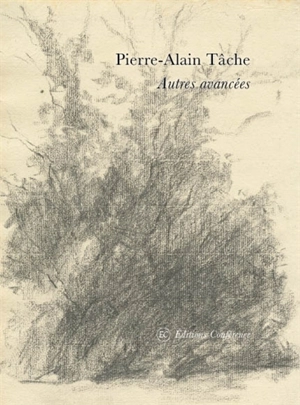 Autres avancées - Pierre-Alain Tâche
