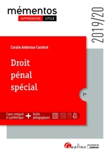 Droit pénal spécial : 2019-2020 - Coralie Ambroise-Castérot