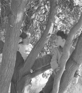 Jardins du Riesthal - Anne Immelé