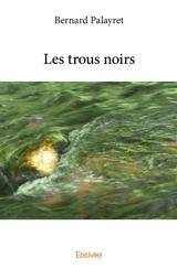 Les trous noirs - Bernard Palayret