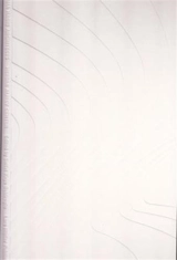 Zaha Hadid Heydar Aliyev Center - Iwan Baan