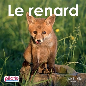 Le renard - Delphine Grasset