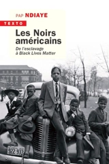 Les Noirs américains : de l'esclavage à Black lives matter - Pap NDiaye
