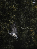 Inland voyage - Quentin Pruvost