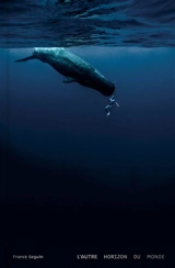 L'autre horizon du monde - Franck Seguin