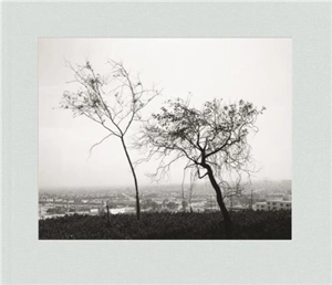 Robert Adams Los Angeles Spring - Robert Adams