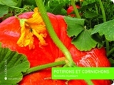 Potirons et cornichons - Nicolette Humbert