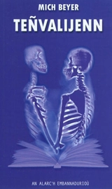 Teñvalijenn : romant - Mich Beyer