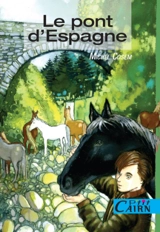 Le pont d'Espagne - Michel Cosem