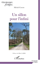Un sillon pour l'infini - Michel Cosem