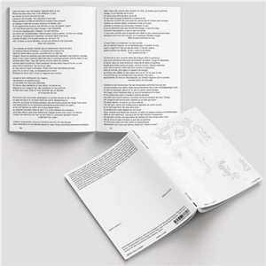 Désolation - Verity Spott
