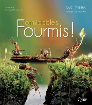 Formidables fourmis ! - Luc Passera
