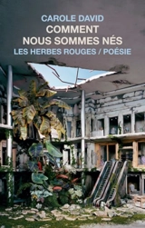 Comment nous sommes nés - Carole David
