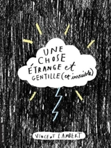 Une chose étrange et gentille (et invisible) - Vincent Charles Lambert