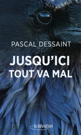 Jusqu'ici tout va mal - Pascal Dessaint