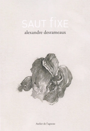 Saut fixe - Alexandre Desrameaux