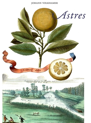 Astres - Johan Christoph Volkhamer