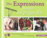 Des expressions passées au peigne fin - Francis Debaisieux