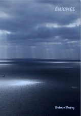 Enigmes - Bertrand Desprez