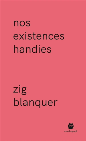 Nos existences handies - Zig Blanquer