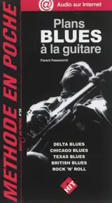 Plans blues à la guitare - Florent Passamonti