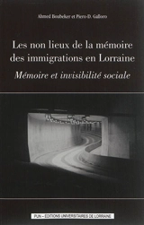 Les non lieux de la mémoire des immigrations en Lorraine : mémoire et invisibilité sociale - Ahmed Boubeker