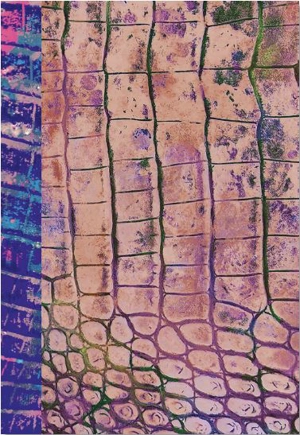 Soukhos : Heng Long leather - Raphaël Barontini