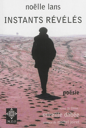 Instants révélés - Noëlle Lans