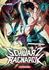 Schwarz Ragnarök. Vol. 3 - Yuuki Imada