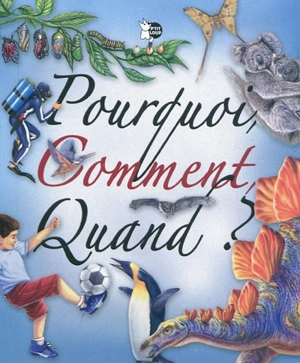 Pourquoi, comment, quand ? - Ana Serna