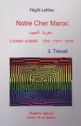 Notre cher Maroc. Vol. 3. Travail - Najib Lahlou