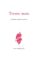 Trente mots - Pierre Bergounioux
