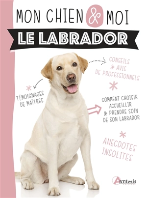 Le labrador