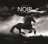 Noir : une histoire dans la nuit - Stéphane Kiehl