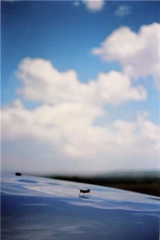 Terri Weifenbach One Picture Book 67 Some Insects - Terri Weifenbach