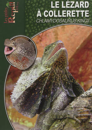 Le lézard à collerette : Chlamydosaurus Kingii - Thomas Hörenberg