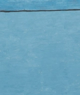 Loïc Raguénès : the room of the octopus - Anne Pontégnie