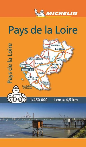 CARTE MINI CR PAYS-DE-LA-LOIRE - Collectif