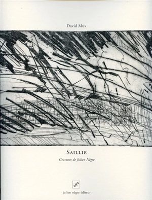 Saillie - David Mus