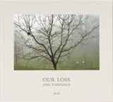 Joel Sternfeld Our Loss - Joel Sternfeld