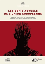 Les défis actuels de l'Union européenne