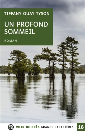 Un profond sommeil - Tiffany Quay Tyson